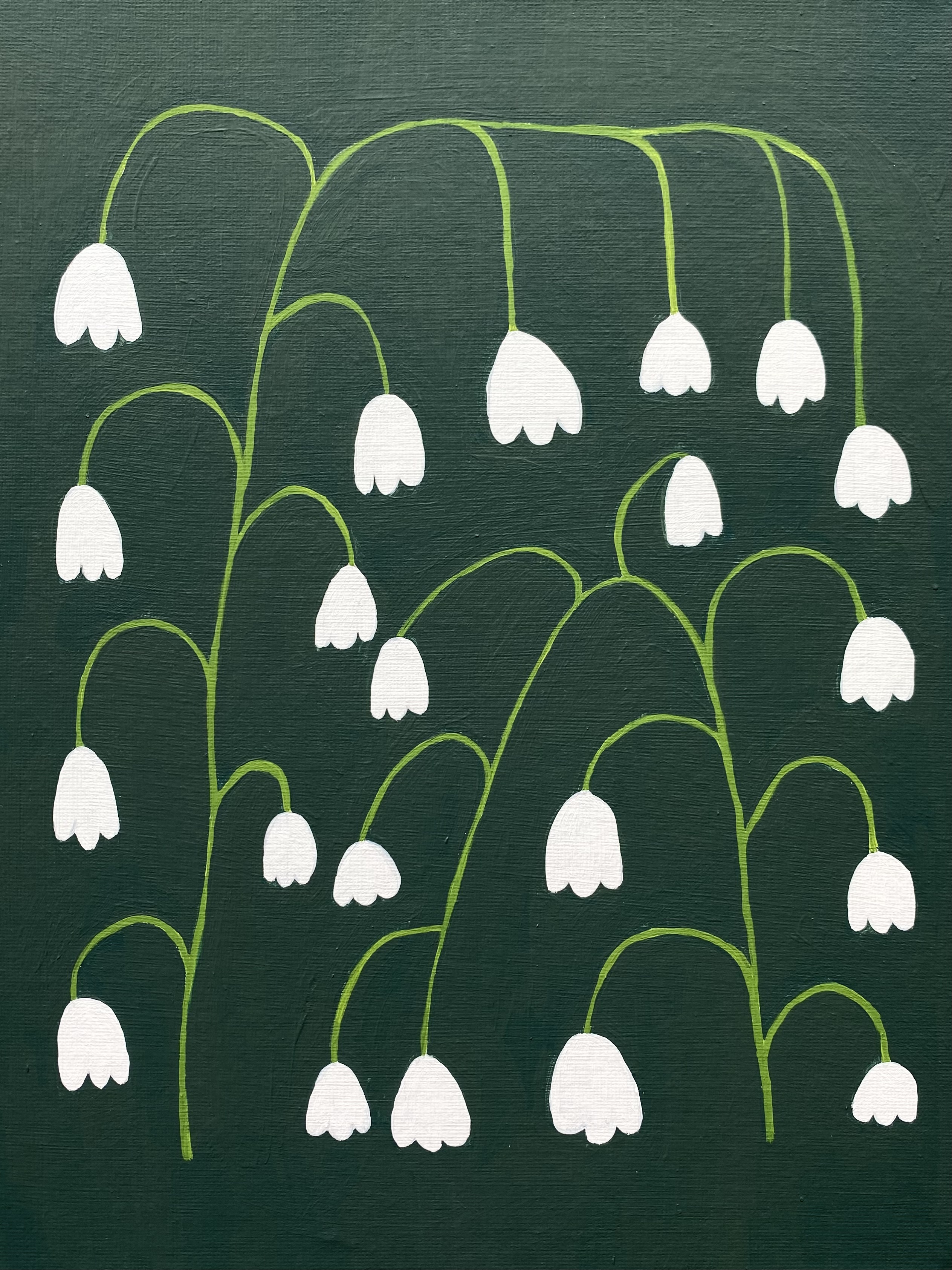 Lily of the Valley